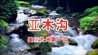 全民烧脑3去广告版