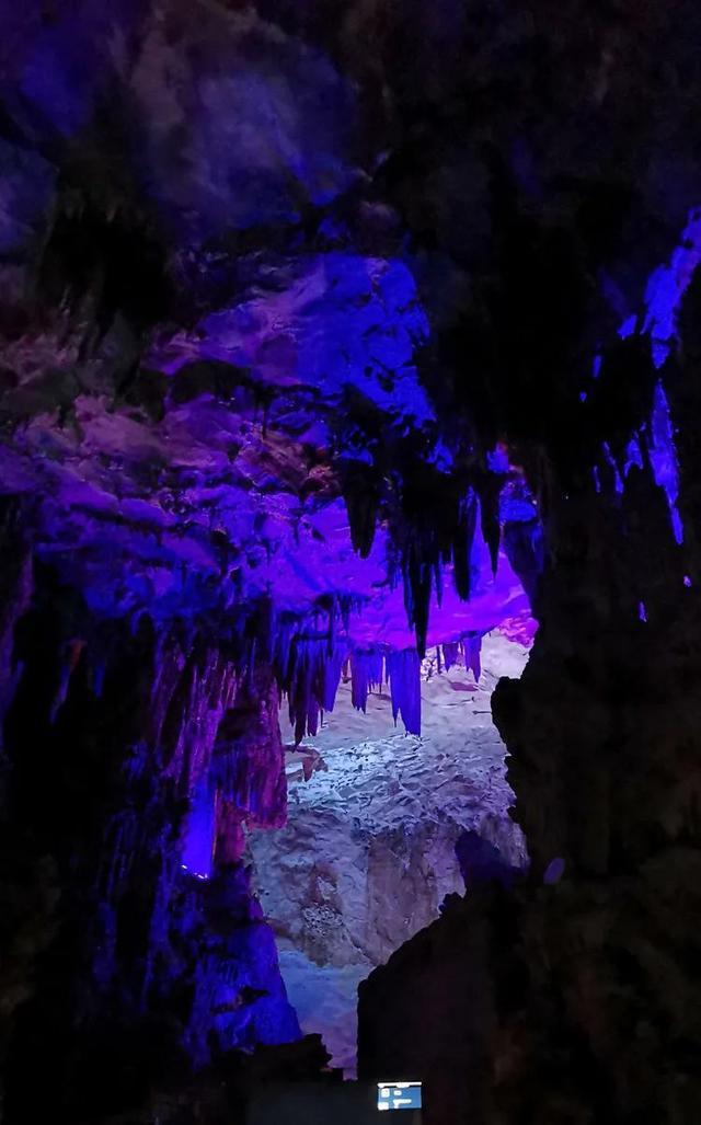 虫虫助手下载
